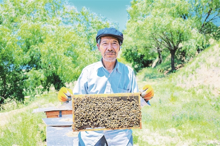     养蜂老人李树全