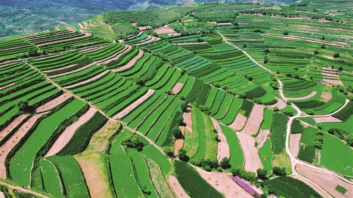     药王山